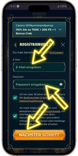 Fülle die Zugangsdaten aus