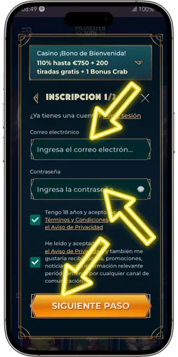 Completa los datos de acceso