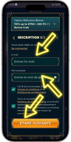 Remplissez les informations de connexion